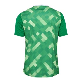Tanska Maalivahti Euro 2024 Vihreä - Jalkapallo Pelipaidat (S/S)
